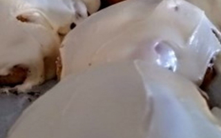 LOCAL SUCCESSFUL BAKERY FOR SALE