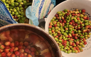 Luxurious Hawaiian Working Farm Retreat