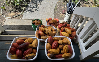 Luxurious Hawaiian Working Farm Retreat