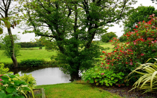 Tree and Lawn Service Franchise