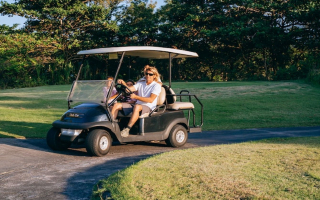 Central Mississippi Golf Carts & Accessories Retailer, with Real Estate Included