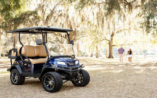 Exclusive Club Car Dealership with Strong Revenues