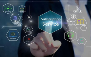 Software Company - Well Established Very Profitable