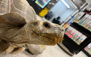 Pet Store Established Since 2008