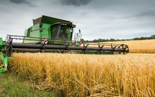 Grain Elevator Business Operation / Real Estate - 1.4M Grain Capacity 