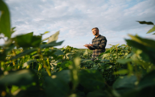 Grain Elevator Business Operation / Real Estate - 1.4M Grain Capacity