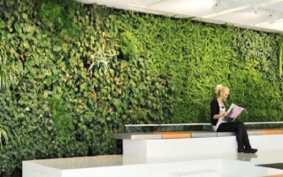 Plant and Botanical Design Company for Sale