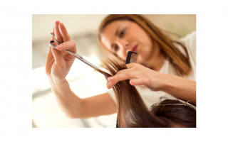 Semi-Absentee, Turnkey Kids Salon