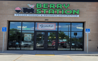 Frozen Yogurt and Mini-donut shop - FRANCHISABLE!