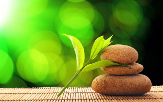Subscription Model Business in Wellness Industry