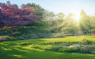 Landscape Design/Build Company