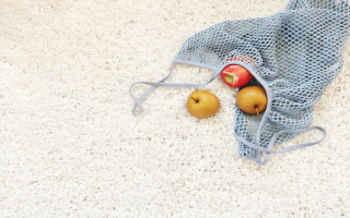 Successful Grand Rapids Metro Carpet Cleaning Service