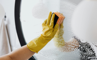 Molly Maid Franchise with Seller Financing