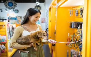 Turnkey Puppy Store! Seller Financing Available!