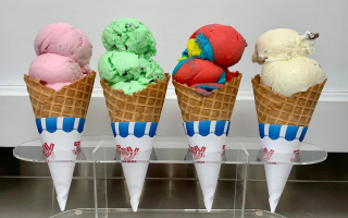 Thriving Soft Serve & Hand Scoop Ice Cream Business with Zero Competition