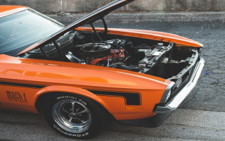 Fantastic Opportunity to Own an Auto Repair Center