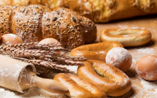 Successful profitable Bakery & bagel shop