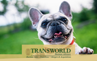 Established Pet Fence Business Ready to Grow