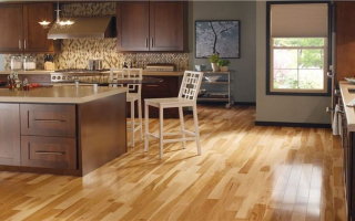 Full-Service, Fast Growing Flooring Franchise