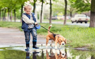 Highly Profitable Nice Pet Care Business in Charleston for Sale