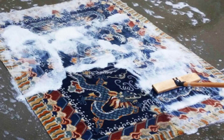 Metro Jackson Commercial & Residential Rug Cleaning & Restoration Services