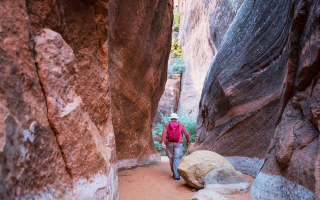 Well Established Tourism Company With Marketing Services