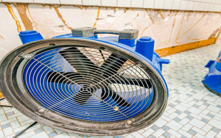 Water and Mold Restoration Business with GM