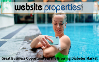 Thriving Business in the Growing Diabetes Market
