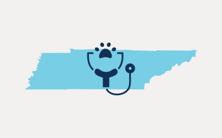 Veterinary Practice for Sale in Tennessee