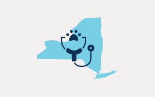 NY Vet Practice for Sale – Rome, New York