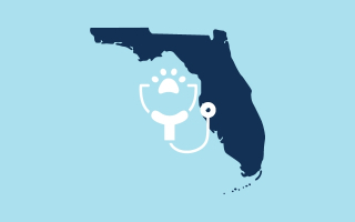 Florida Vet Practice for Sale
