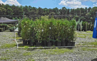 Thriving Turnkey Online Landscaping Supply Business with Proven Success – A Prime Investment Opportunity!