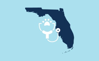 FL Vet Practice for Sale