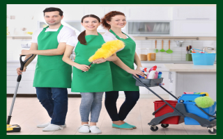 Profitable National Brand Home Cleaning Business