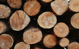 Niche Wood Treating & Supplier Company with Real Estate Included