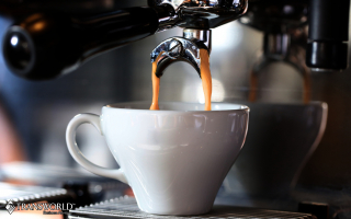 Don’t Miss Out on a Profitable Café