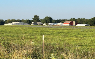 38 Acres Plus Profitable Business For Sale