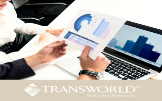 30YR OLD, SBA APPD, GOVCON CONSULTING FIRM