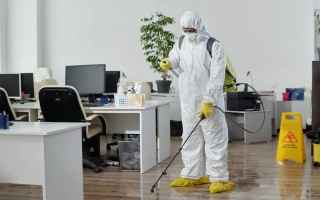 Established Recession-Resistant Remediation Business