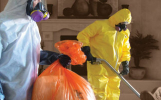 Established Recession-Resistant Remediation Business