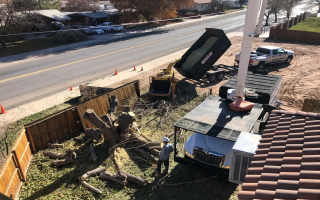 Tree Removal Service in Moab Utah - 19 Years in Business