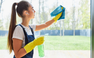 Window Cleaning - Great Growth Potential