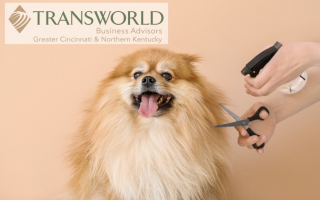 Established Dog Daycare: Grooming, Boarding & Pet 