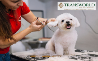 Established Dog Daycare: Grooming, Boarding & Pet 