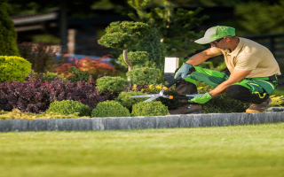 High-End Maintenance Landscaping Business