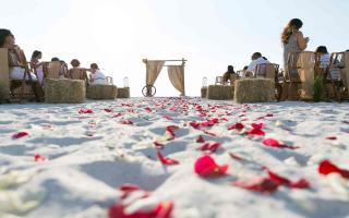 Established Beach Wedding Business with Exclusive Trademarks & Growth Potential