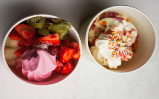 Sweet Frog Frozen Yogurt Franchise – Roanoke, VA