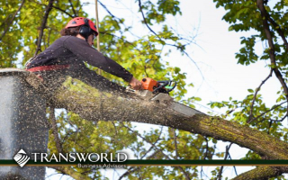 Growing in Opportunity: Tree Service