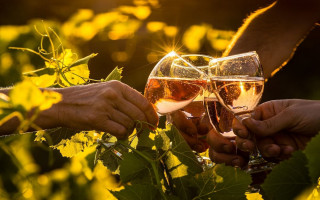 Winery & Vineyard N1005