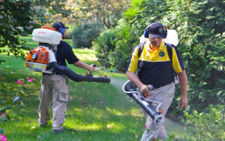 Outdoor Mosquito Control Treatment Business Franchise for Sale in Central Illinois